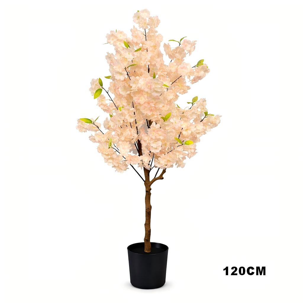 Cherry Blossom Tree(cream）2.0